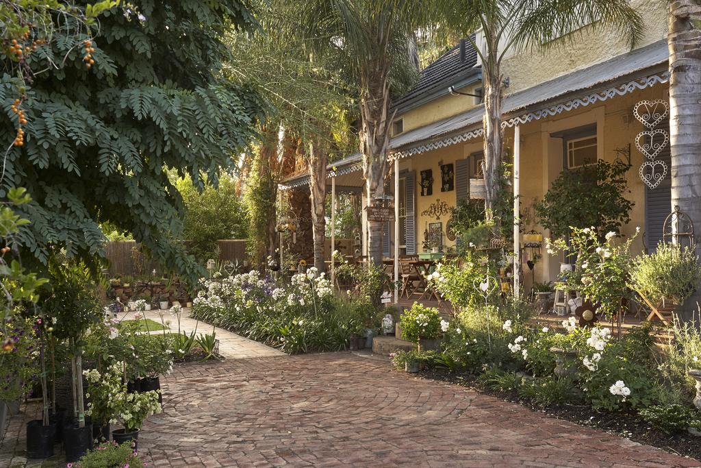 Yellow Aloe Клануильям Экстерьер фото