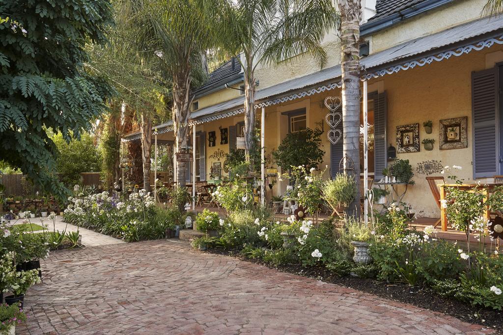 Yellow Aloe Клануильям Экстерьер фото