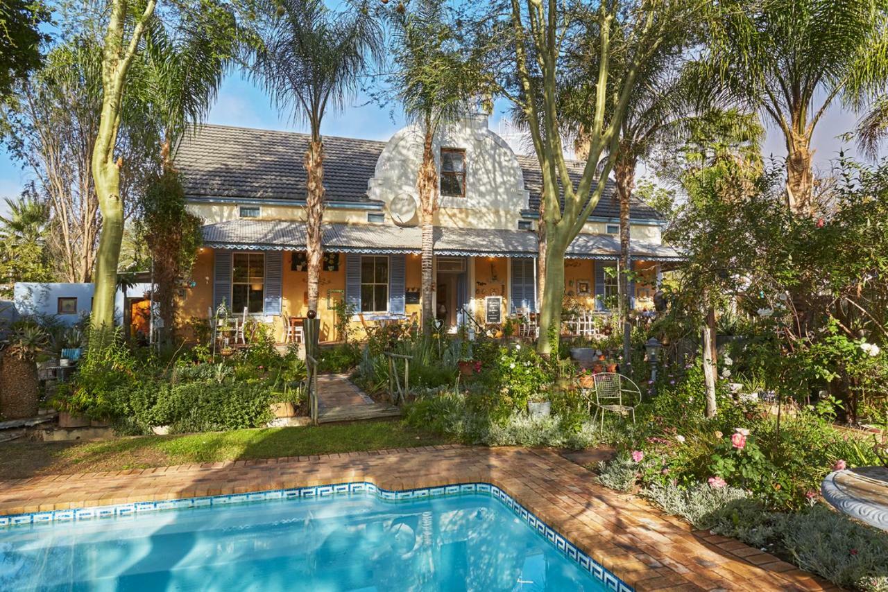 Yellow Aloe Клануильям Экстерьер фото